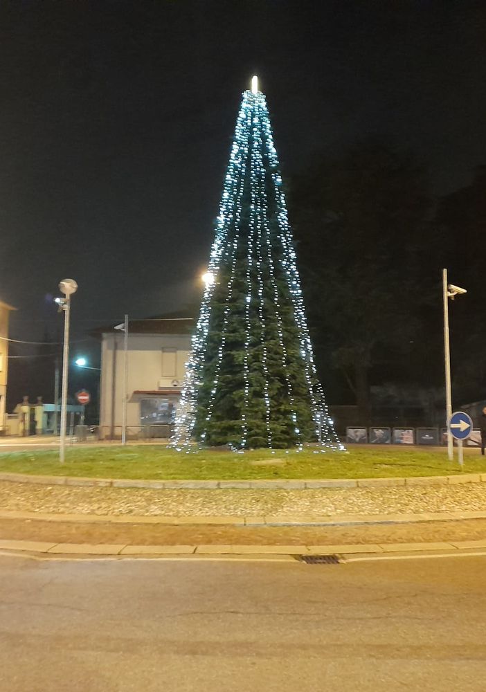 L'albero acceso in serata a Cassano