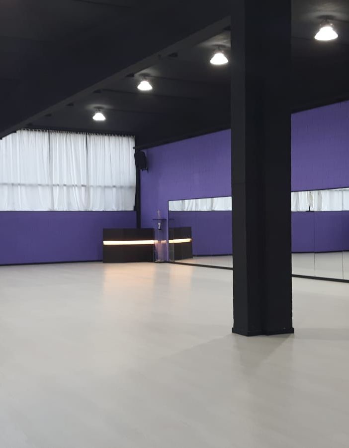 Videointervista. Il fitness, la danza e la voce inascoltata: «Ci sentiamo dimenticati»