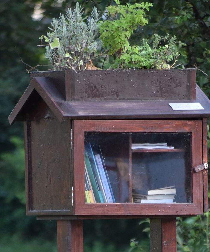 Casetta o cassetta a Gallarate: la bacheca dei libri in via Gorizia diventa un caso