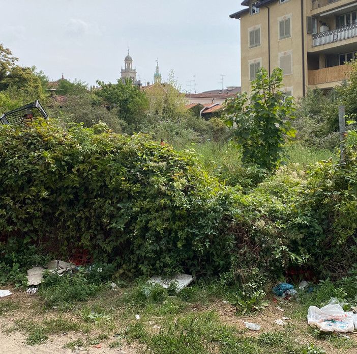 Alcune immagini della situazione nell'area dell'incendio