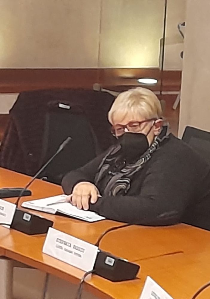 La consigliera comunale Gemma Tagliabue
