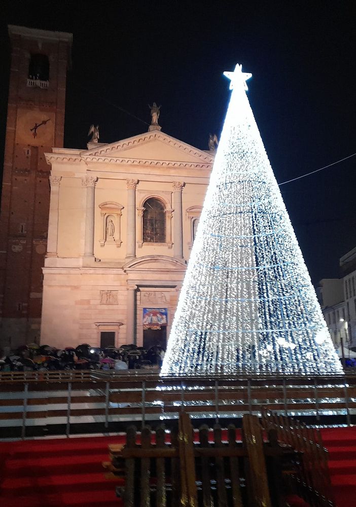 L'albero in piazza Libertà