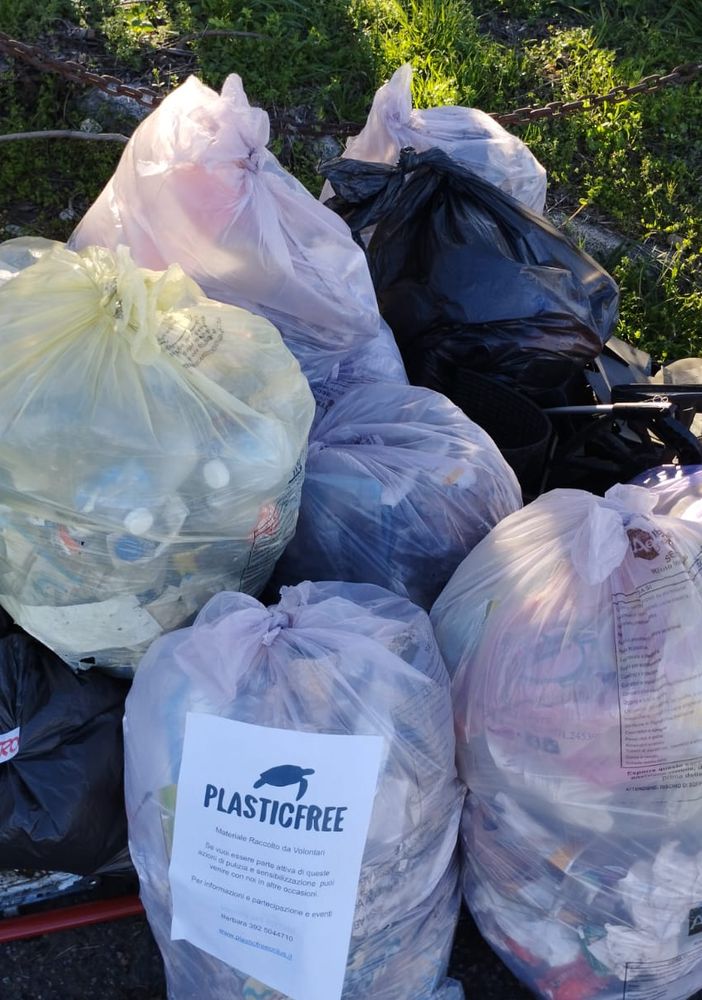 Plastic Free e la pazienza del mozzicone: a Gallarate, 25 sacchi di spazzatura abbandonata raccolti in viale Milano