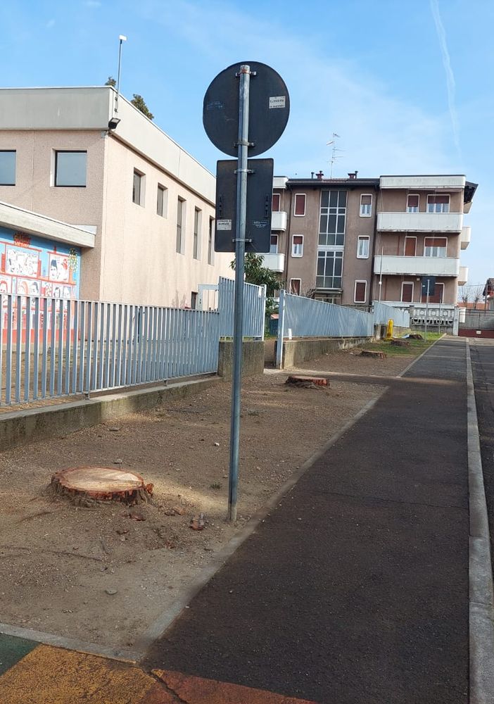 Marnate, Legambiente al sindaco: «Avete distrutto esemplari arborei sani»