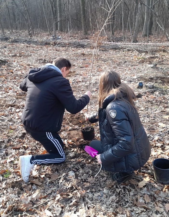 Nuovi alberi sul territorio: studenti gallaratesi in trasferta a Samarate