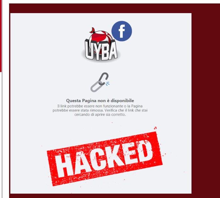 Gli hacker attaccano le farfalle: «Ma noi torneremo su Facebook, siamo più forti»