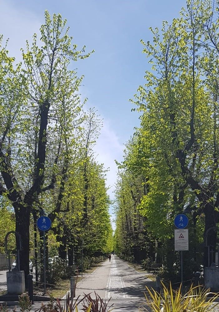 Primavera in viale Rimembranze