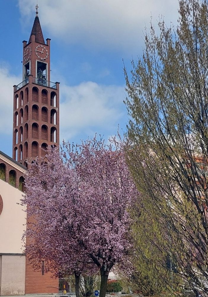 FOTO. È arrivata la primavera e le piazze di Olgiate si vestono di fiori