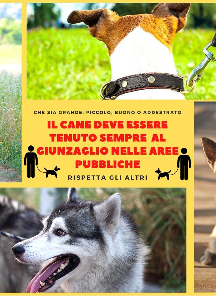 I cartelli posizionati dall'amministrazione in più zone di Olgiate