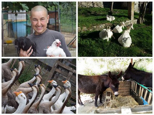 Capre, asini, anatre, cani e gatti a rischio sfratto. L’appello di Cinzia: «Sono come i miei figli, non voglio che siano abbattuti. Aiutatemi»