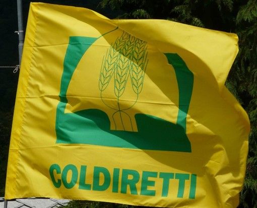 Fattorie sociali: dai campi il “welfare verde”,  nuovo esempio di sviluppo socioeconomico
