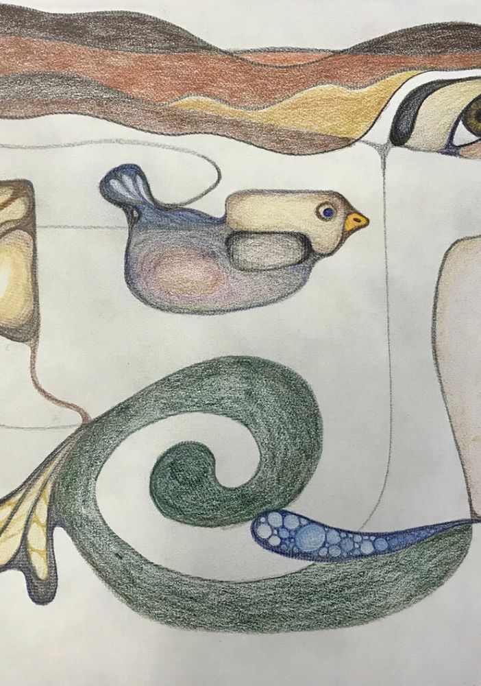 “Storia di un foglio bianco”, laboratorio creativo di Auser