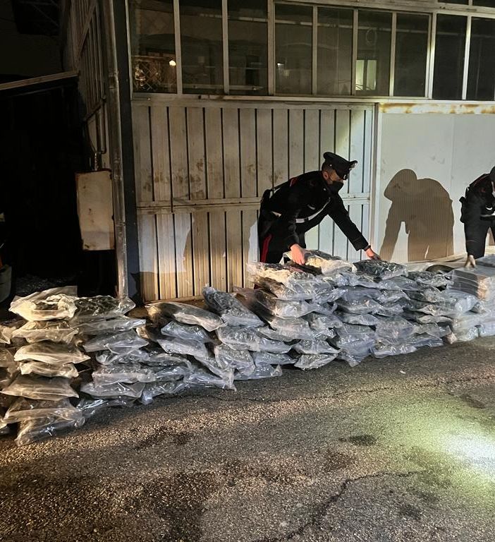 VIDEO. Maxi sequestro di droga messo a segno dai carabinieri di Varese: nel rimorchio sotto il trattore spuntano 220 chili di hashish e marijuana