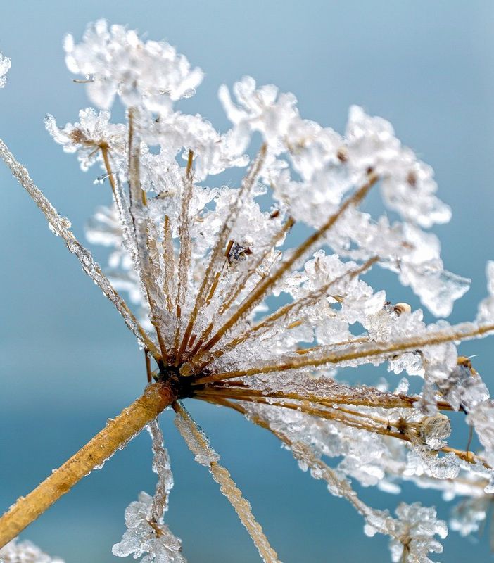 Il grande freddo è in ritardo ma arriverà: da stasera sul Varesotto forte gelo e qualche fiocco di neve