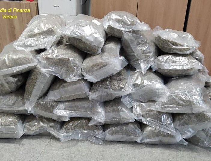 53 chili di marijuana in cantina