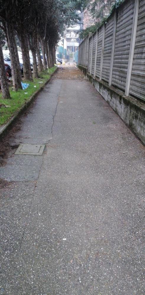 Il risultato della pulizia di stamane al parcheggio di via Cairoli