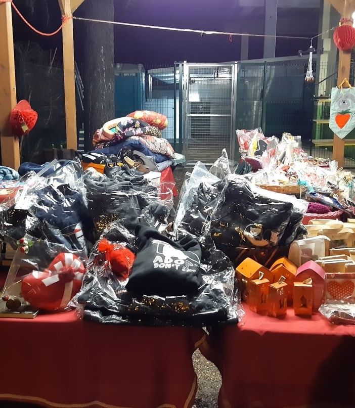 Mercatini di San Valentino al canile di Busto. Un gesto d’amore per gli amici a quattro zampe