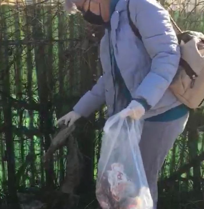 Nasce il Circolo Laudato Si’ di Busto Arsizio-Gallarate: «Guardare al piccolo per responsabilizzarsi in prima persona»