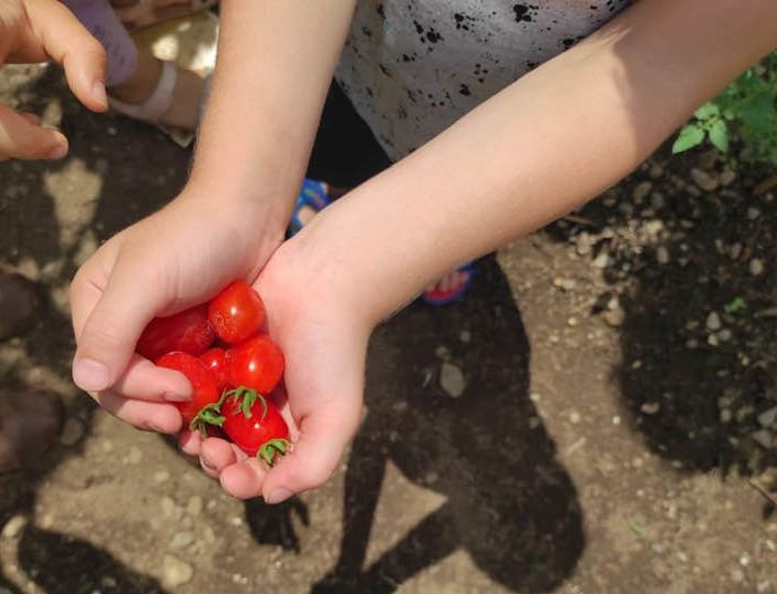 Bimbi della scuola dell’infanzia Beata Giuliana all'opera all'aria aperta e a contatto con la natura