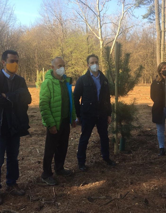 Da sinistra Lorenzo Radice, Mario Paganini, Davide Turri e Laura Rogora