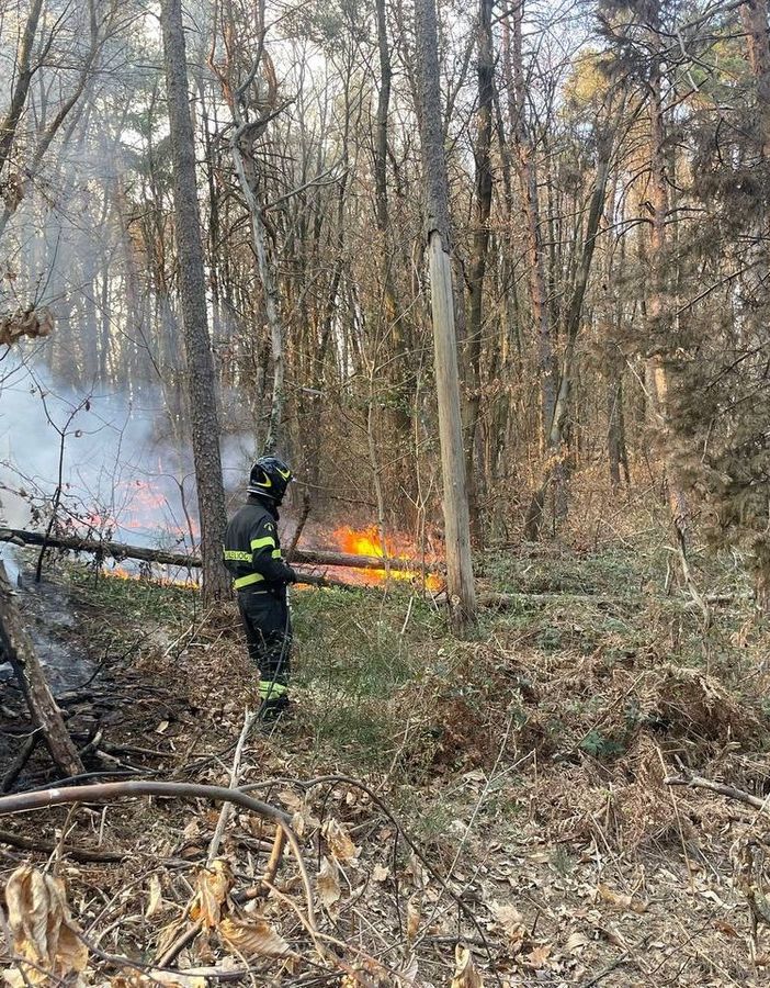 FOTO. Ancora fiamme nel Varesotto: bruciano i boschi a Vergiate, Tradate e Casale Litta