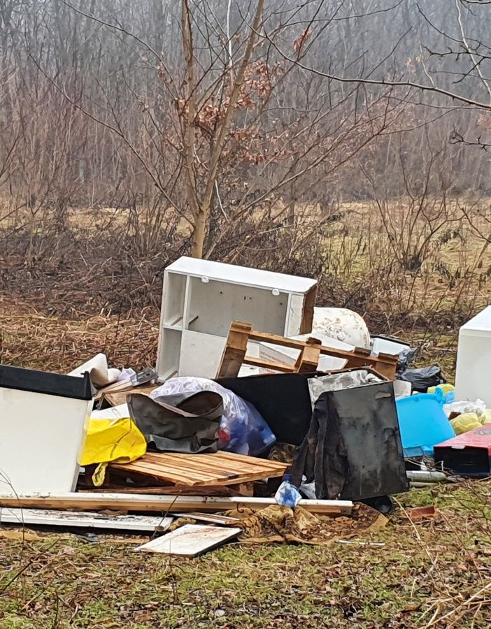 «Discariche abusive? La Polizia locale se ne occupa tutti i giorni, multe e denunce non mancano»