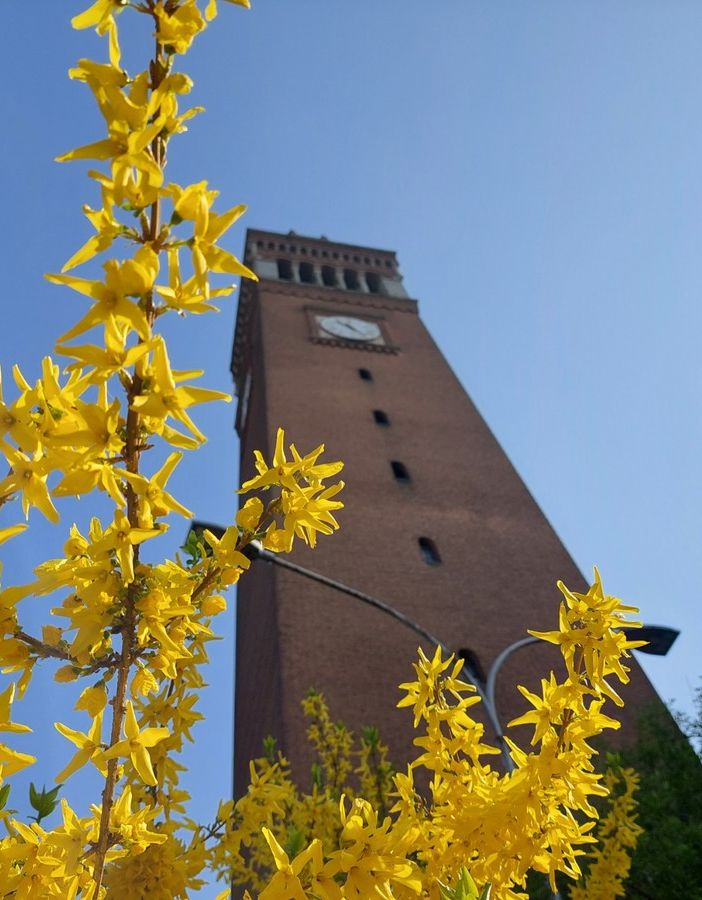 FOTO. A Castellanza le piazze e i giardini ci ricordano che l’inverno è ormai passato