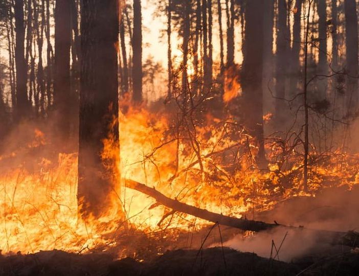 Da Cassano Magnago una forza in più contro gli incendi boschivi