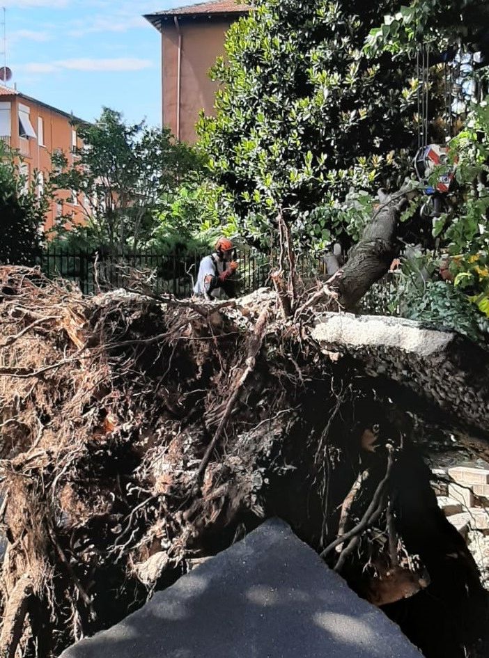 Legnano, emergenza maltempo: avviata la raccolta delle segnalazioni dei danni subiti dalla cittadinanza
