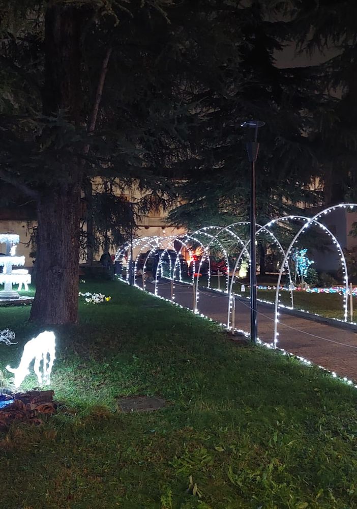 A Olgiate un giardino fatato accende lo spirito del Natale