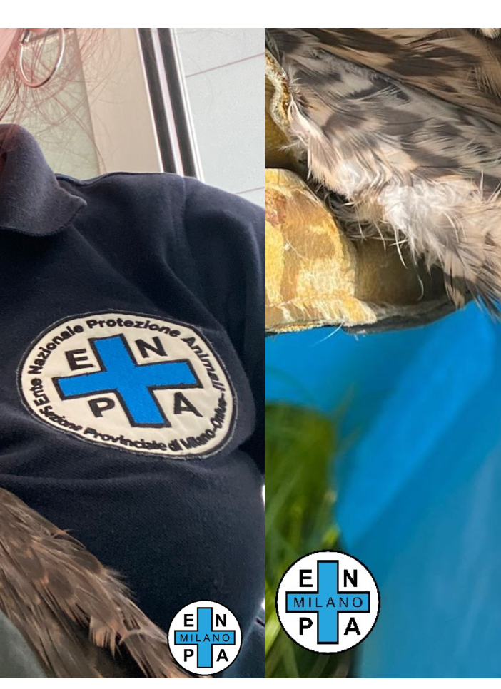foto dalla pagina Enpa