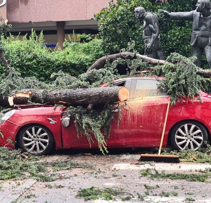 L'albero crollato su una macchina in corso Italia a Legnano, lunedì scorso