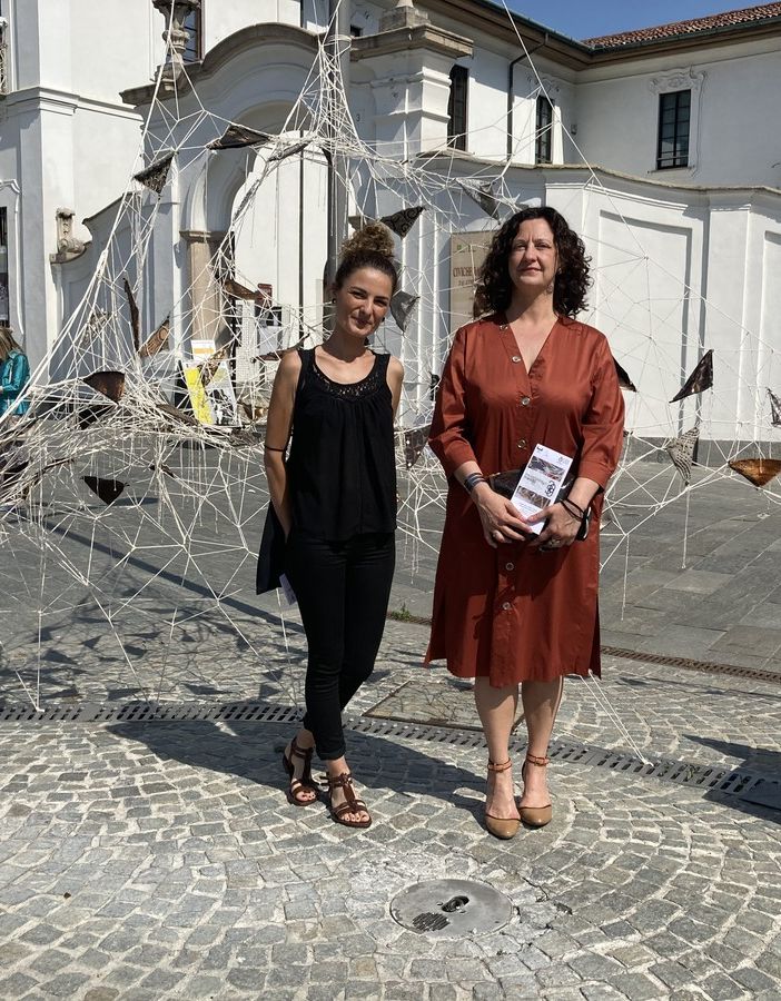 La vicesindaco Maffioli e l'artista Frongia, i diversi punti ammirati anche dallo storico Giavini
