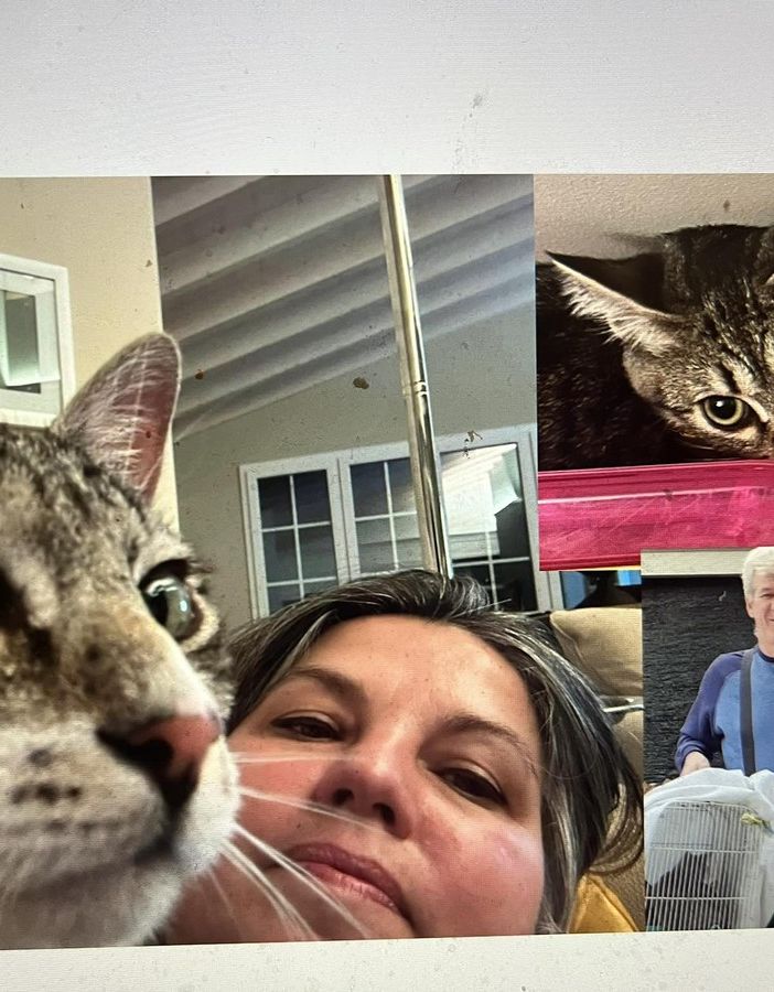 LA STORIA. «Siamo andati in 2, siamo tornati in 5». La scelta di Raffaella e Ale che ha commosso il gattile