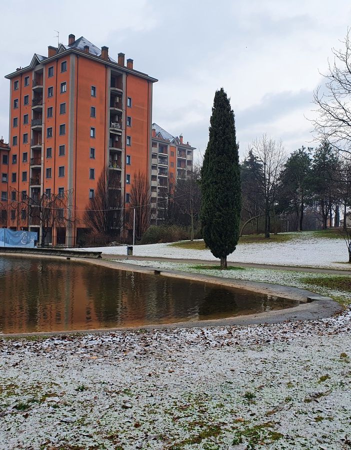 A Busto nessuno scenario da fiaba. Parchi leggermente tinti di bianco