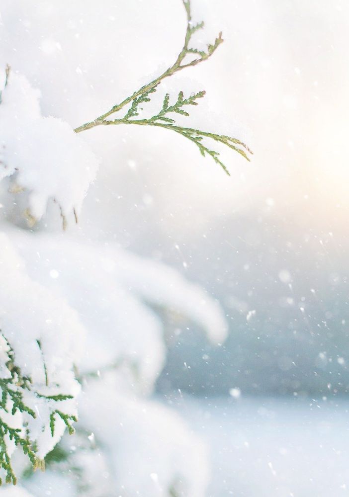 A Busto servizio rifiuti attivo domani, ma occhio alla neve