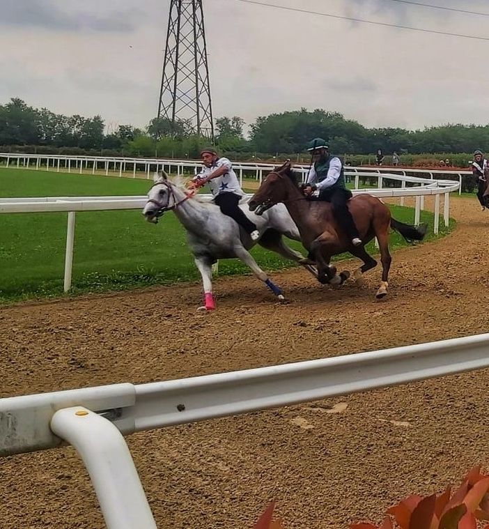I cavalli sono tornati a correre in attesa del Palio