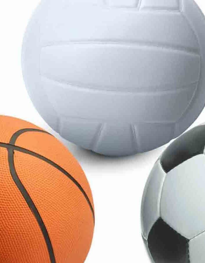 Le scuole superiori di Tradate si sfidano a calcio, pallavolo e basket