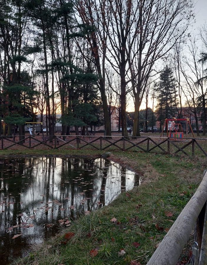 Olgiate, l'anno nuovo porta al parco Carducci un punto ristoro