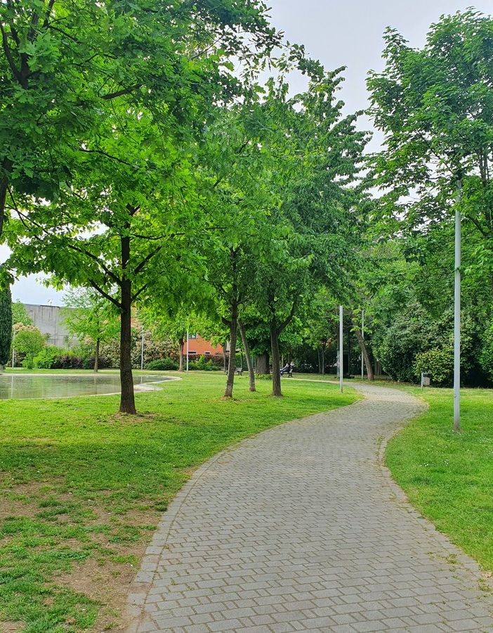 Da quello dei nuovi nati al “bosco di San Giuseppe”. Il punto sui parchi di Busto