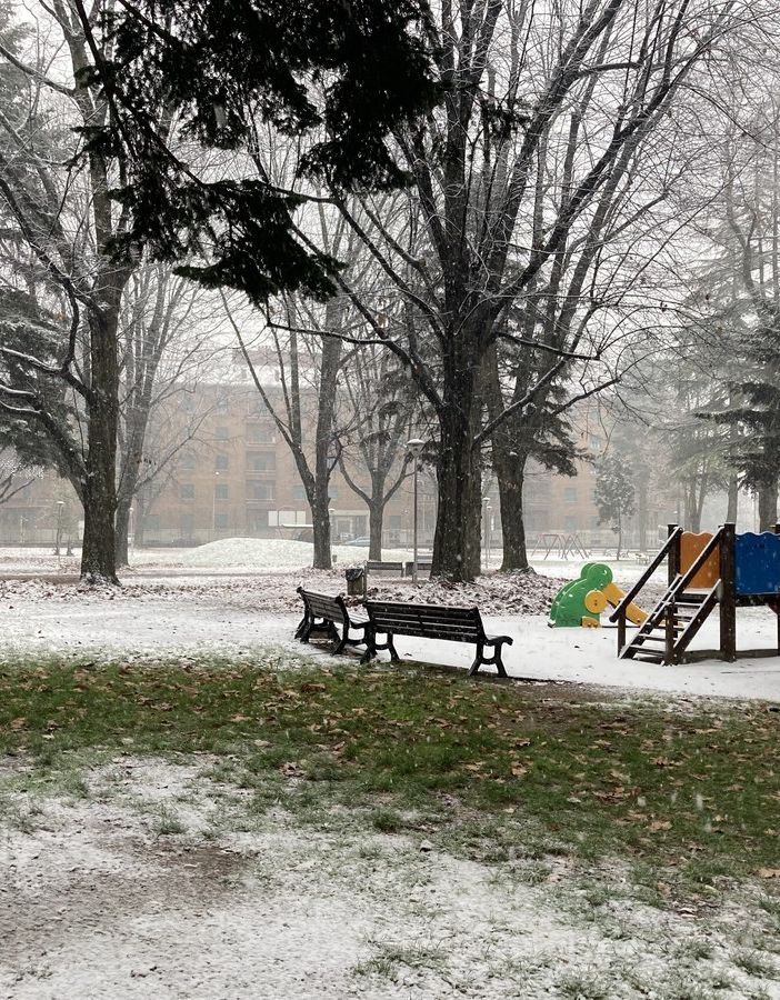 La neve imbianca tetti e giardini (parco di viale Stelvio, Busto ore 11)