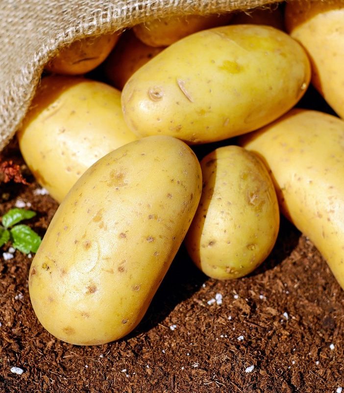 Carne e patate… senza carne