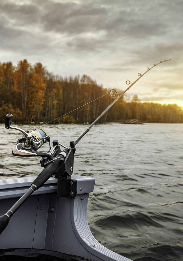 Il pesce in carpione: scelta di gusto e di metodo