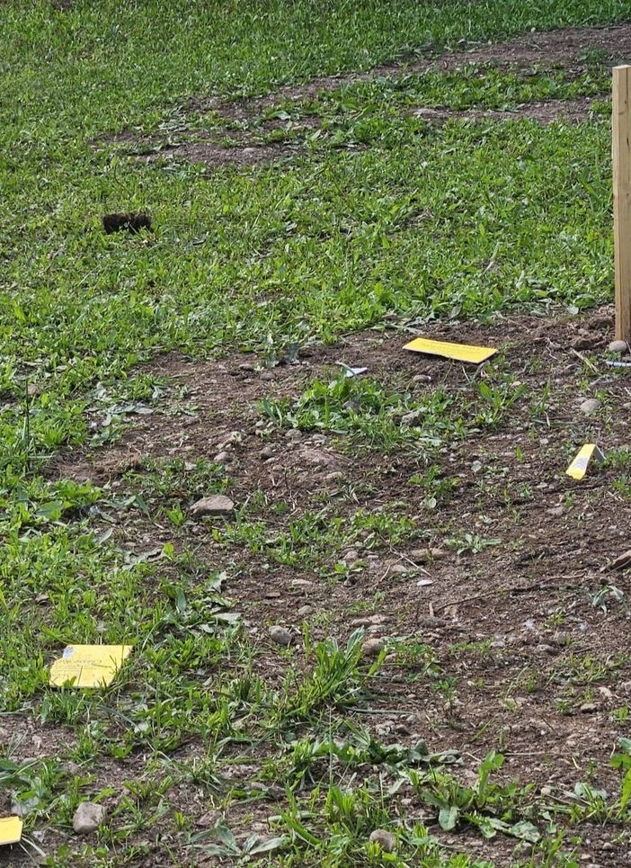 A Marnate i vandali distruggono le piantine dei bimbi del San Luigi