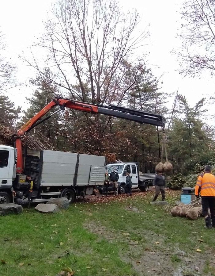 Legnano, parco Castello: dopo gli abbattimenti, le piantumazioni