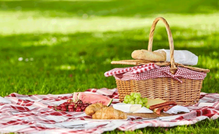 Castellanza: torna il Pic-nic solidale sotto le stelle