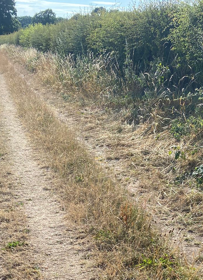 Prati inglesi, addio: «Anche qui c'è allerta caldo e vi spiego perché»