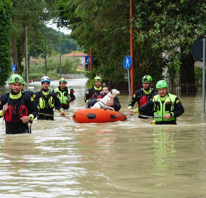 foto dalla pagina Facebook della Protezione civile