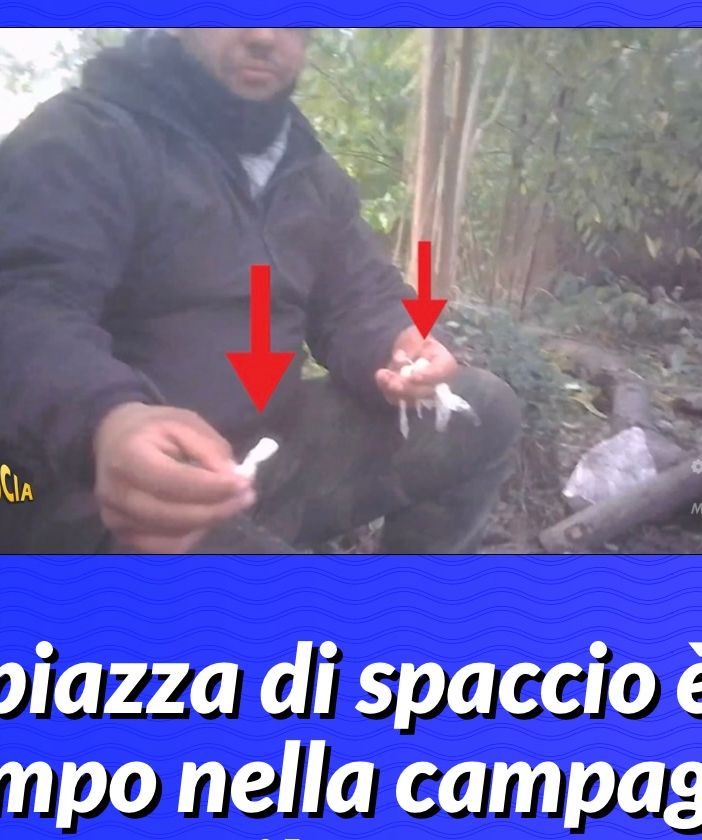 VIDEO. Striscia e il market della droga nella campagna di Busto Garolfo