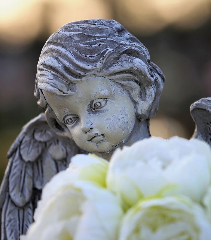 Ancora furti al cimitero di Sacconago: «Basta con questa vergogna»